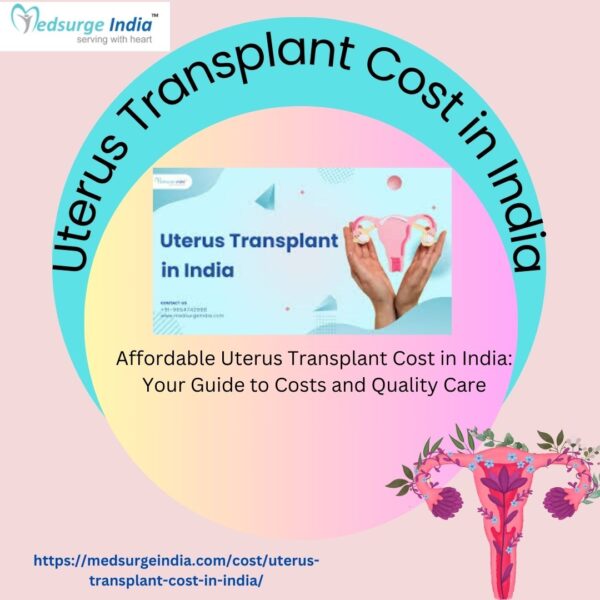 Uterus Transplant Cost in India at Medsurge India