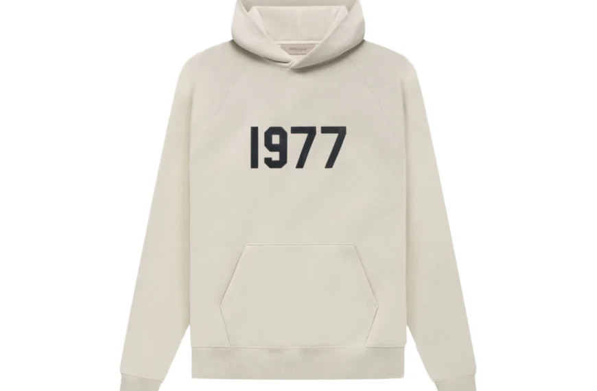 Essentials hoodie